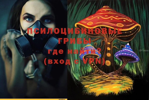 Альфа ПВП Богородск